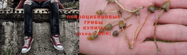 ECSTASY Балахна