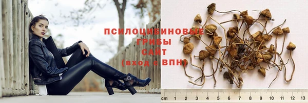 хмурый Баксан