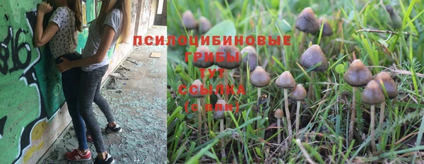 кокс Балабаново
