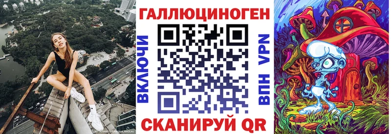 где купить наркотик  Гуково  Галлюциногенные грибы Psilocybe 